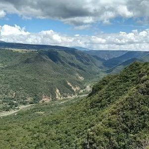 Meet your Posher, Ricardo